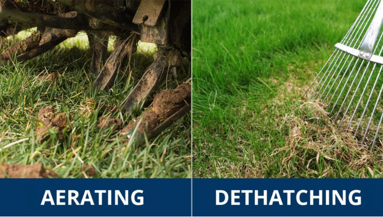 Lawn Dethatching and Aerating Definition, Differences, and Benefits