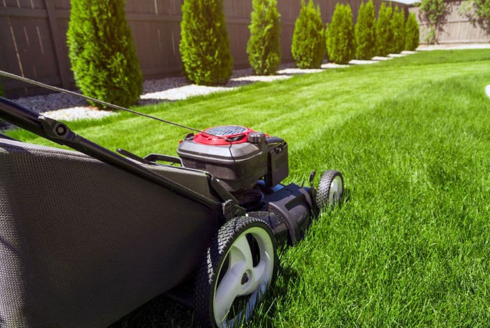 Stet’s Lawn Care for a Professional Maintenance of Your Lawn